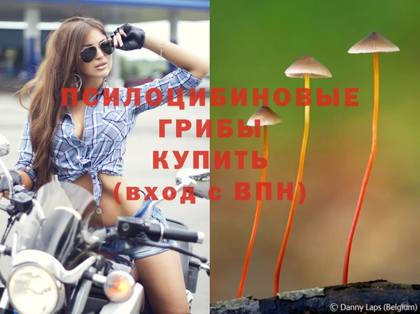 трава Медвежьегорск