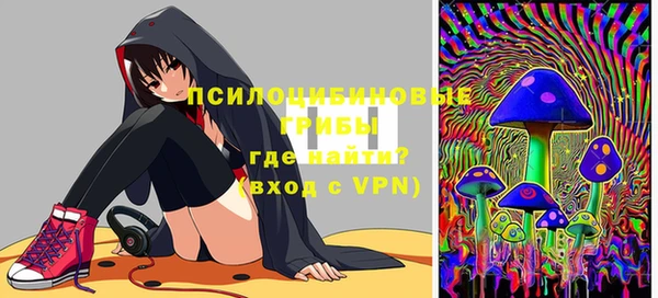 2c-b Зеленодольск